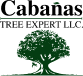 Cabanas Tree Expert Logo